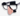 favicon for Miss Celania